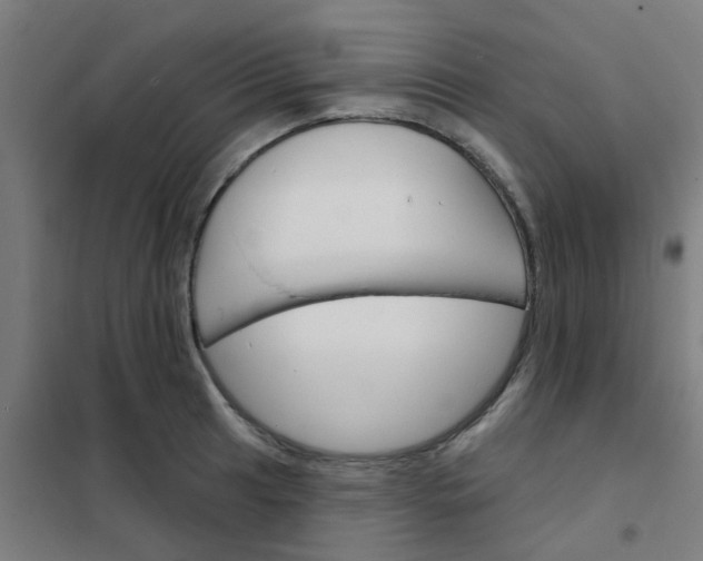 X0000101701041200807241427