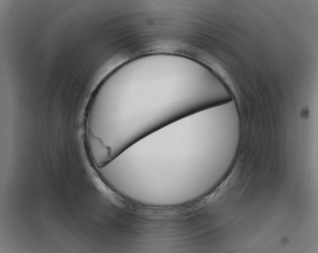 X0000101701042200807241427