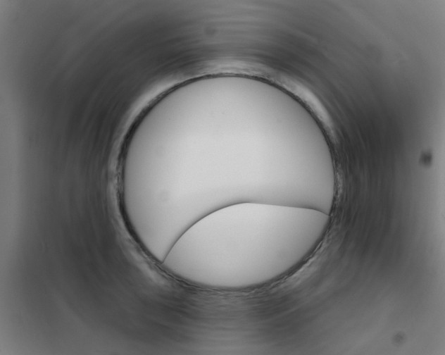 X0000101701043200807241427