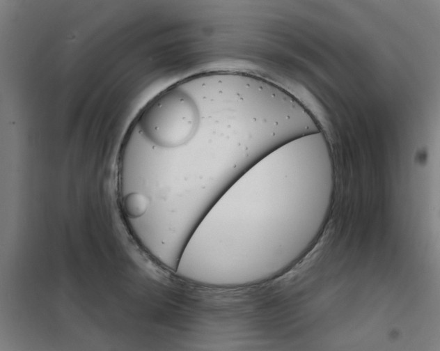 X0000101701044200807241427