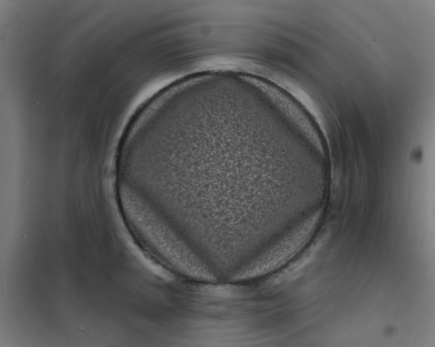 X0000101701045200807241427