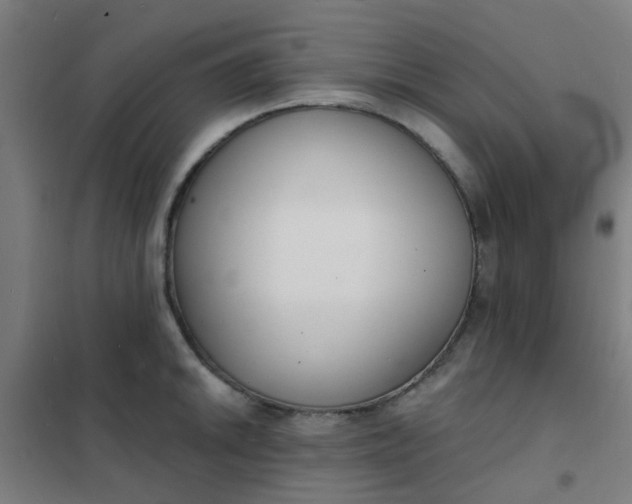 X0000101701046200807241427