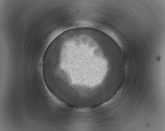 X0000101701047200807241427