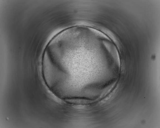 X0000101701048200807241427