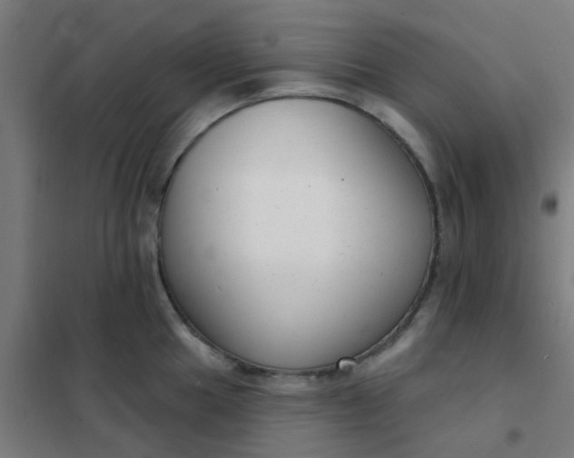 X0000101701049200807241427