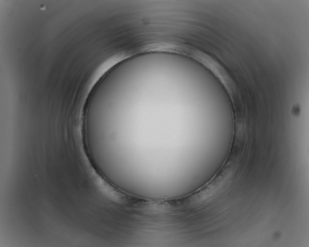 X0000101701050200807241427