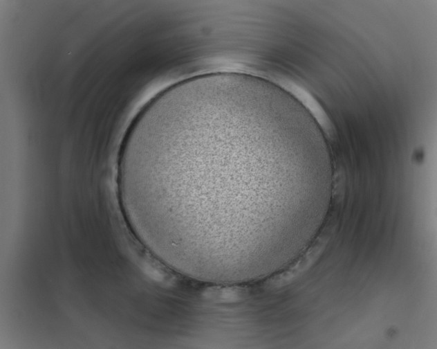 X0000101701051200807241427