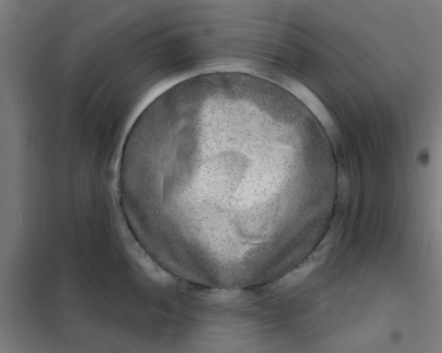 X0000101701052200807241427