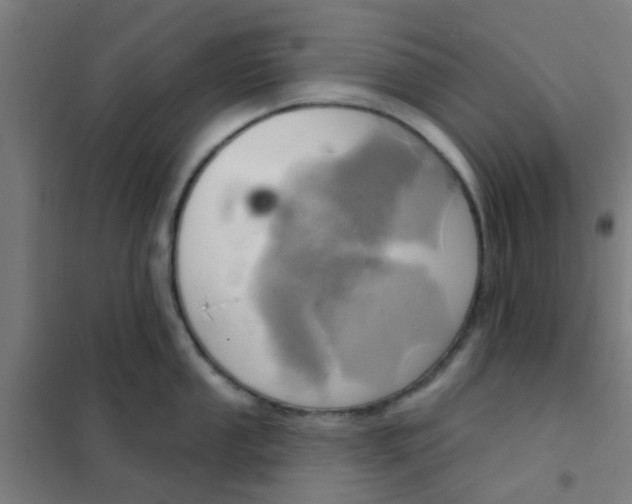 X0000101701053200807241427