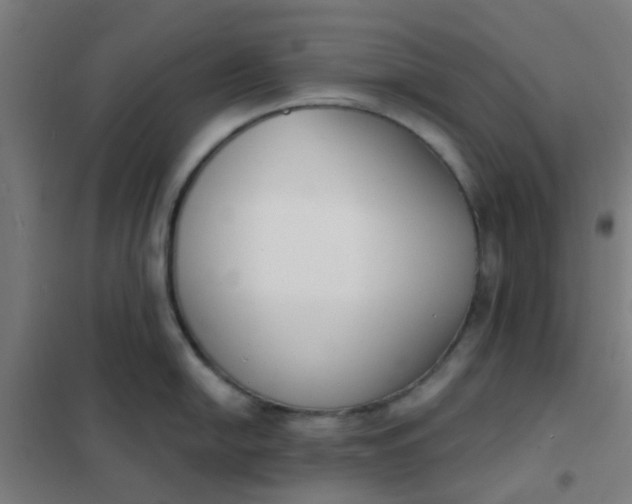 X0000101701054200807241427