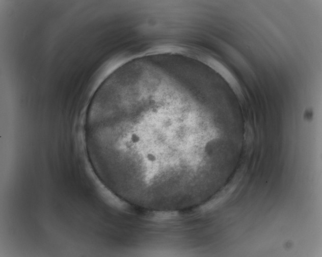 X0000101701055200807241427