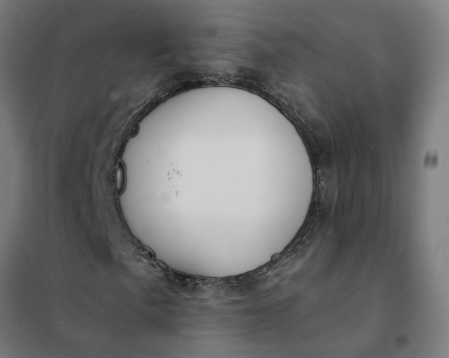 X0000101701057200807241427