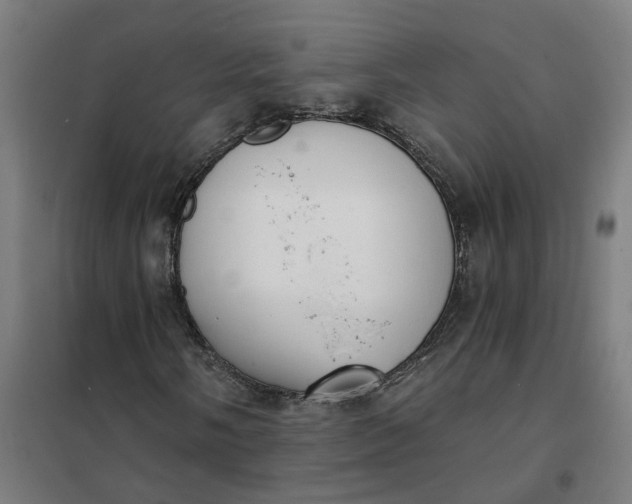 X0000101701058200807241427