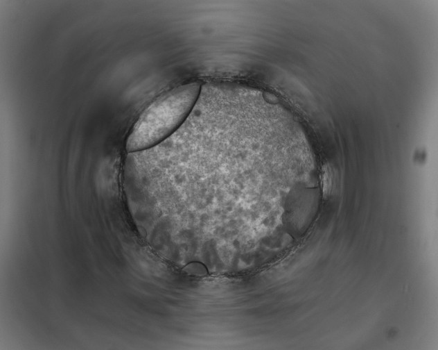 X0000101701059200807241427