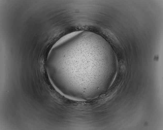 X0000101701060200807241427