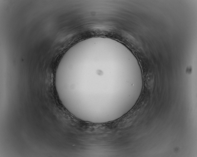 X0000101701061200807241427