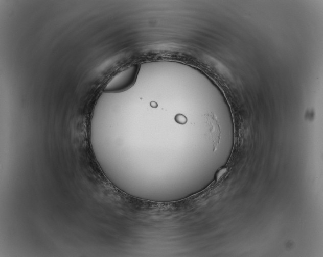 X0000101701062200807241426