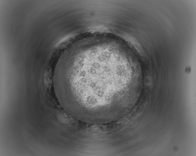 X0000101701063200807241426