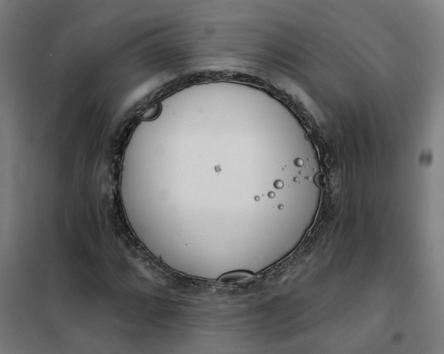 X0000101701064200807241426