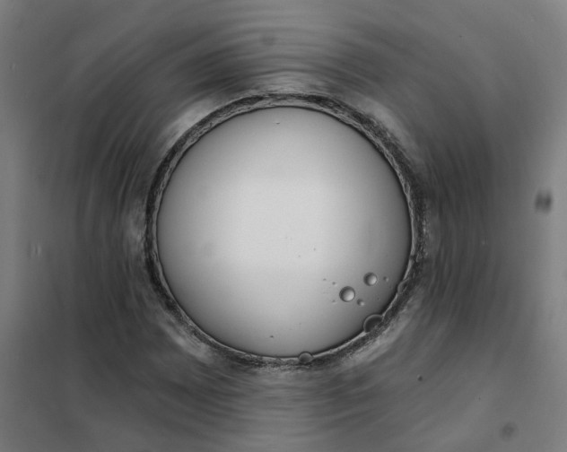 X0000101701065200807241426