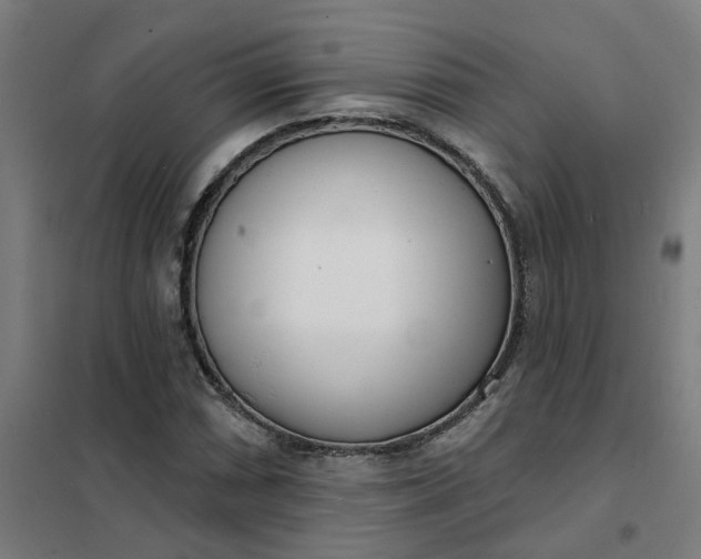 X0000101701066200807241426