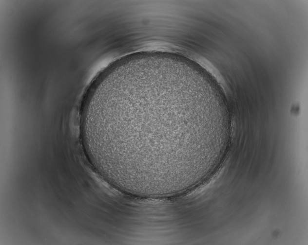 X0000101701067200807241426