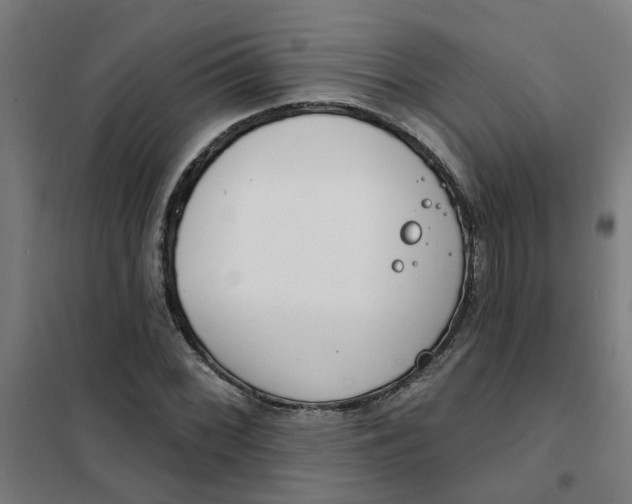 X0000101701068200807241426