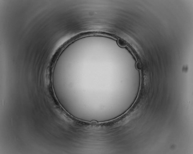 X0000101701069200807241426