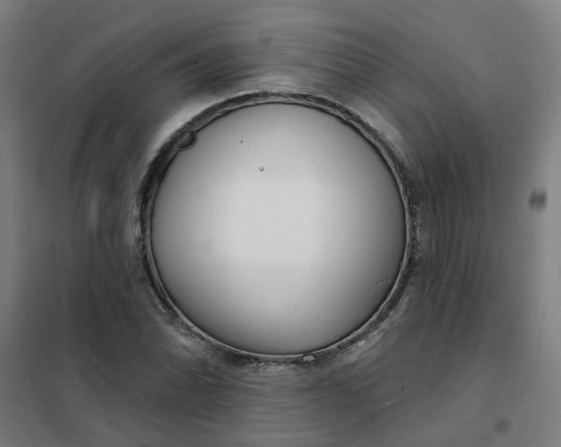 X0000101701070200807241426