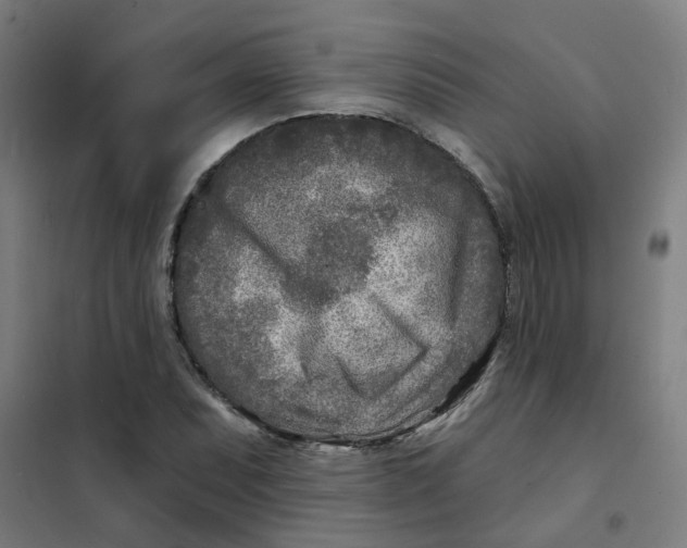 X0000101701071200807241426