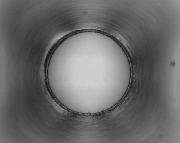 X0000101701072200807241426