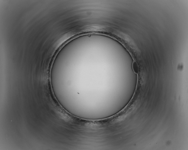 X0000101701073200807241426