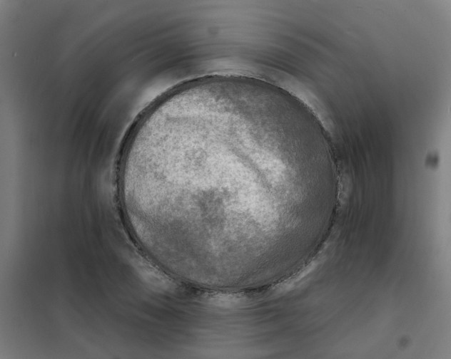 X0000101701074200807241426