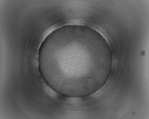 X0000101701075200807241426