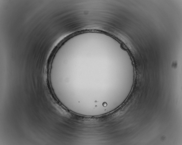 X0000101701076200807241426