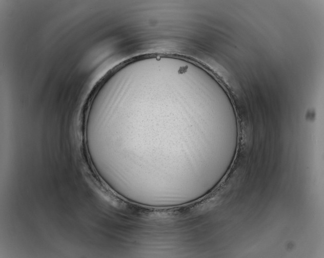 X0000101701078200807241426