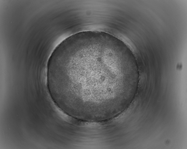 X0000101701079200807241426