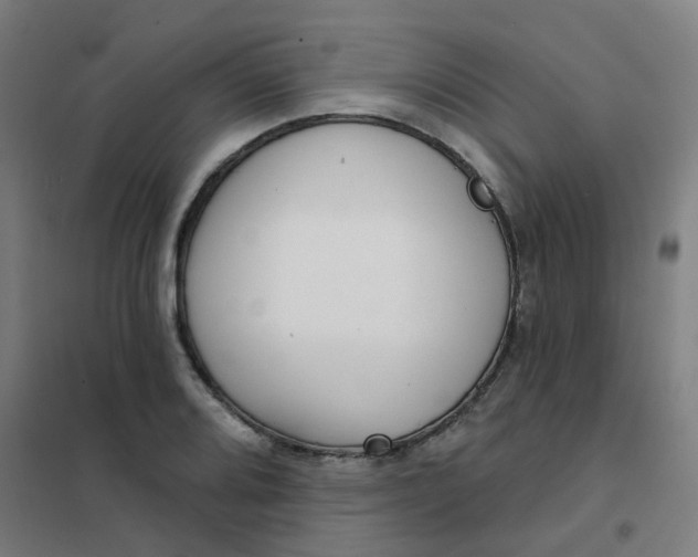 X0000101701080200807241426