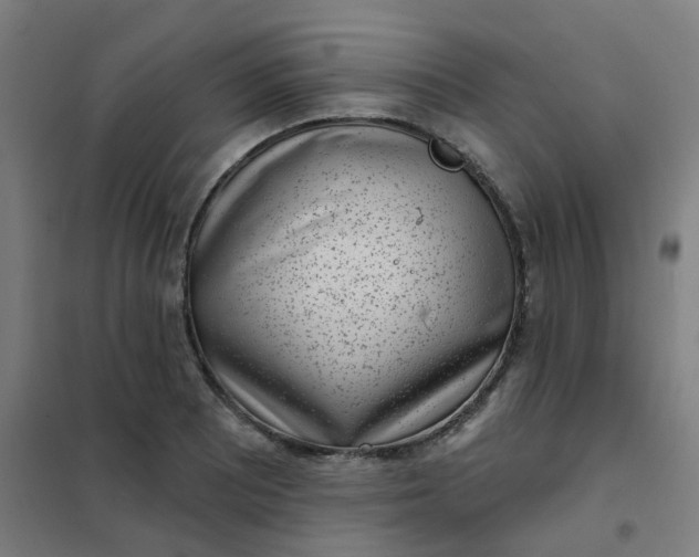 X0000101701081200807241426