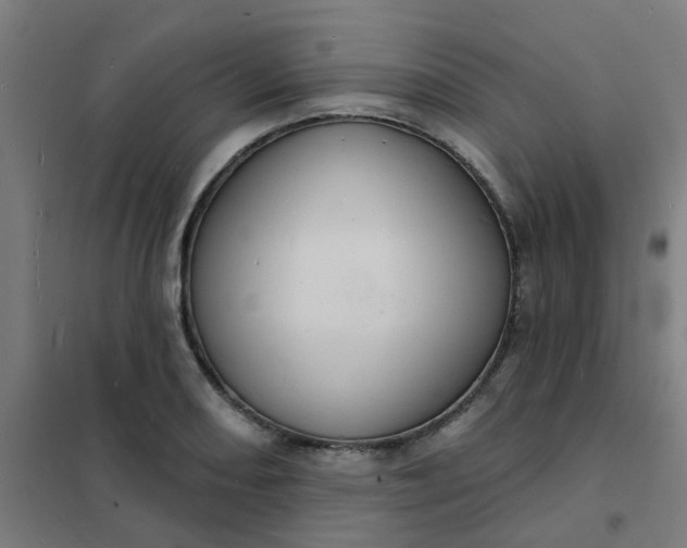 X0000101701082200807241426