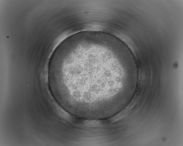 X0000101701083200807241426