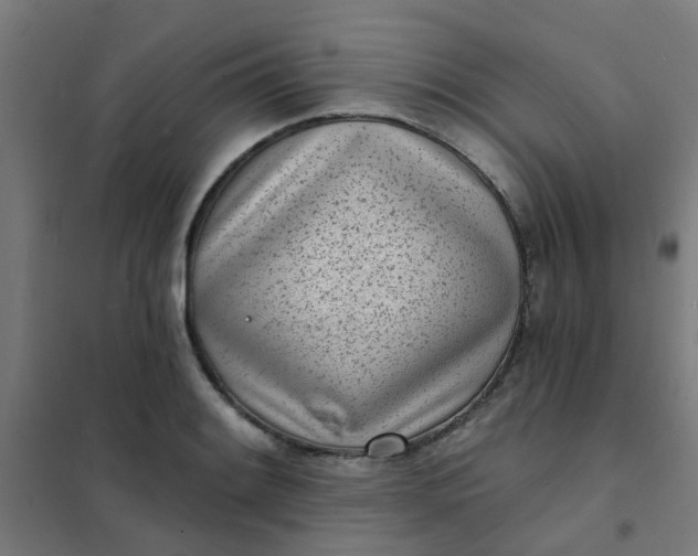 X0000101701084200807241426