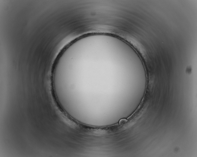 X0000101701085200807241426