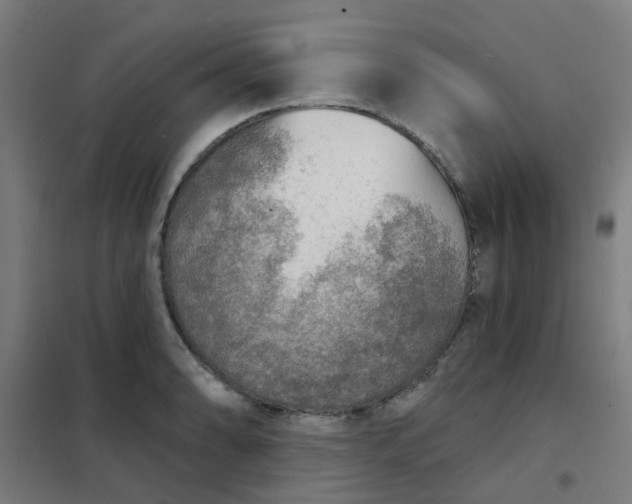 X0000101701086200807241426