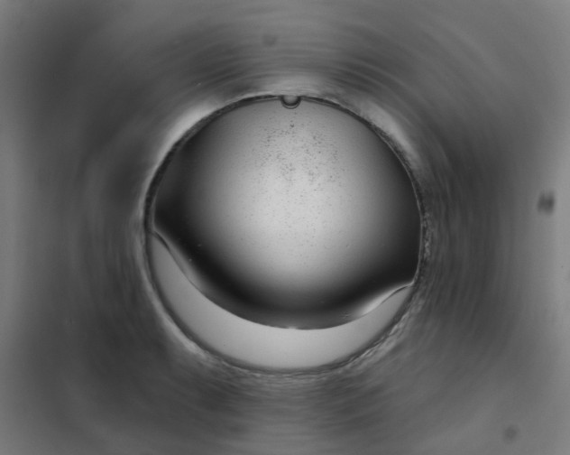 X0000101701087200807241426