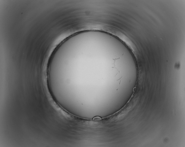 X0000101701088200807241426