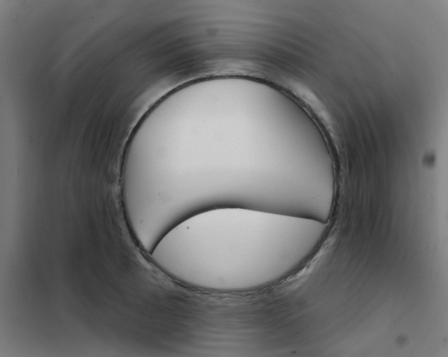 X0000101701089200807241426