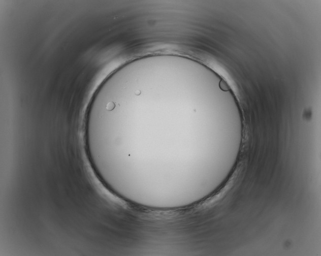 X0000101701090200807241426