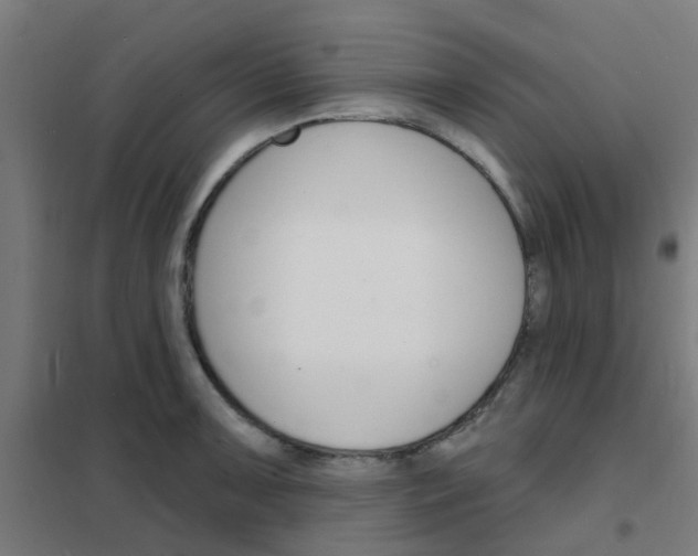 X0000101701091200807241426