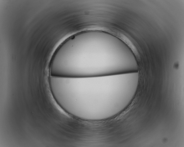 X0000101701092200807241426